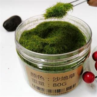 DIY沙盘模型草粉仿真青苔苔藓假山造景植物墙铺装饰假草坪地形粉