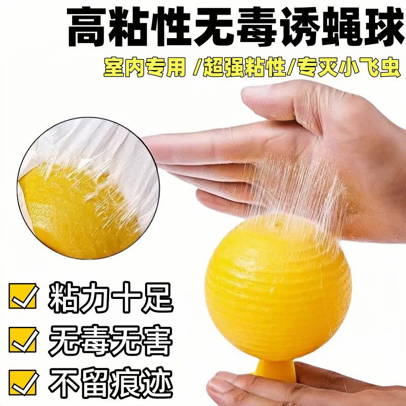 无毒室内果园家用粘虫板