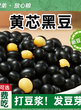 东北黄心黑豆黄芯生的农家新货官方旗舰店五谷杂粮打豆浆专用