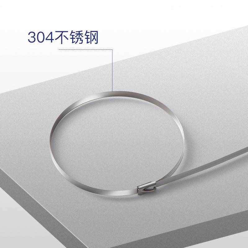 新品304不锈钢紮带卡扣s强力自锁式捆紮带收束带铁丝固定器门链扣图片