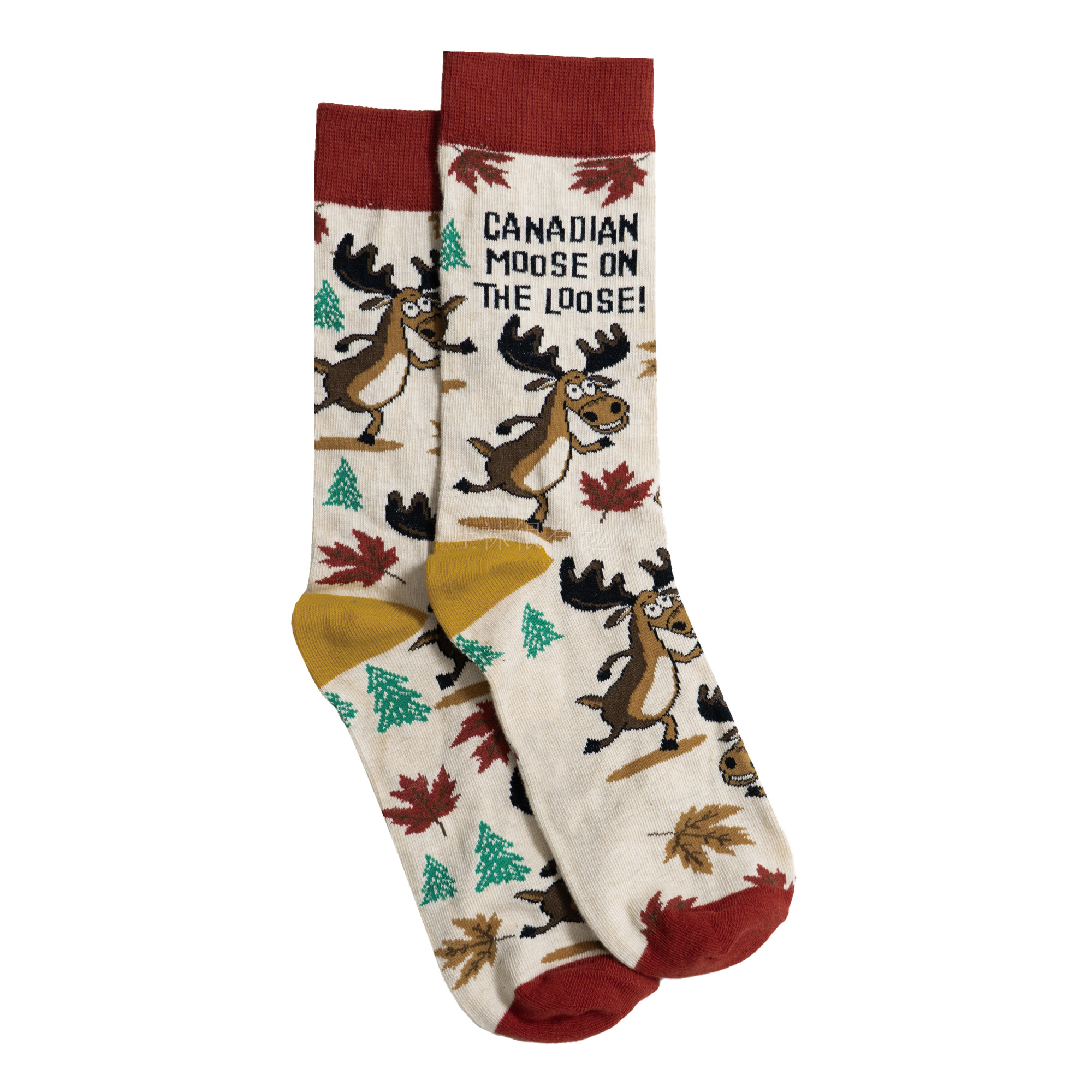 女士CANADIAN MOOSE LOOSE加拿大驼鹿跑出来溜达了女袜U28