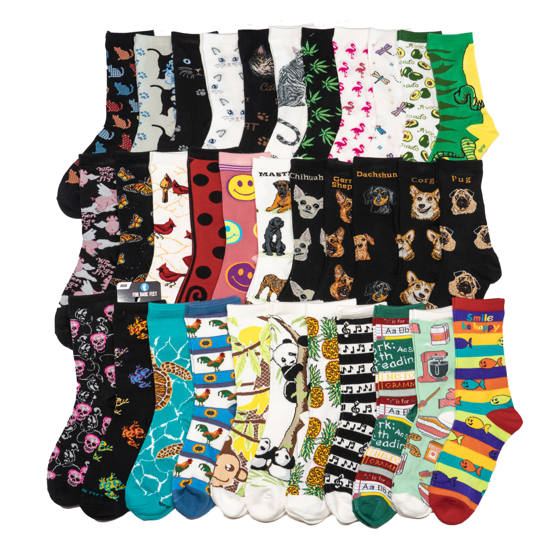 海龟柯基德牧黑背巴哥吉娃娃腊肠犬狗熊猫蝴蝶蜻蜓音符男女袜FBF