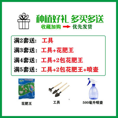 阳台种菜置物架窗外花架悬挂封闭阳E台花架挂在栏杆上的花架北欧