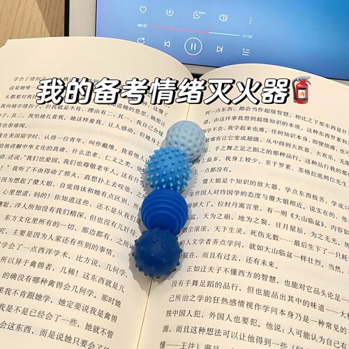 【ADHD专注解压】集中注意力神器考研专升本背书感官石缓解焦虑