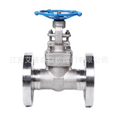 F304手动法兰阀门 316手动法兰闸阀 40P不锈钢304 Z41W