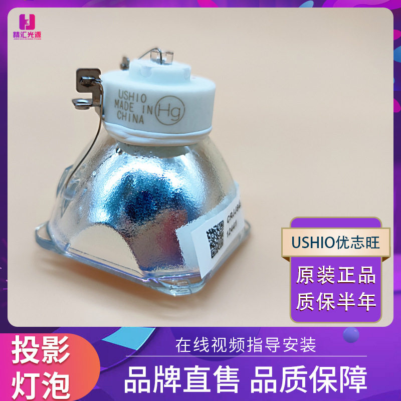 EIKI爱其EK-300U 301W 302X 303U 305U投影机仪灯泡WBS500 XBS500