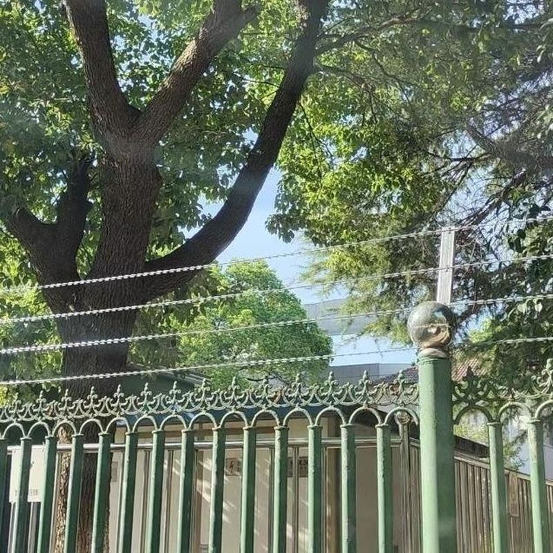 防盗防爬刺绳直条加高刺网刀片