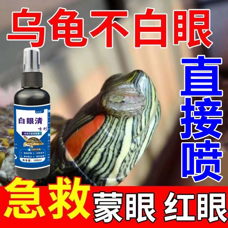 乌龟白眼病特效药眼睛发白