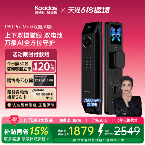 凯迪仕P30ProMax高端智能门锁