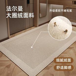 入户门垫进门地垫高级感玄关脚垫可裁剪耐脏免洗地毯家用防滑垫子