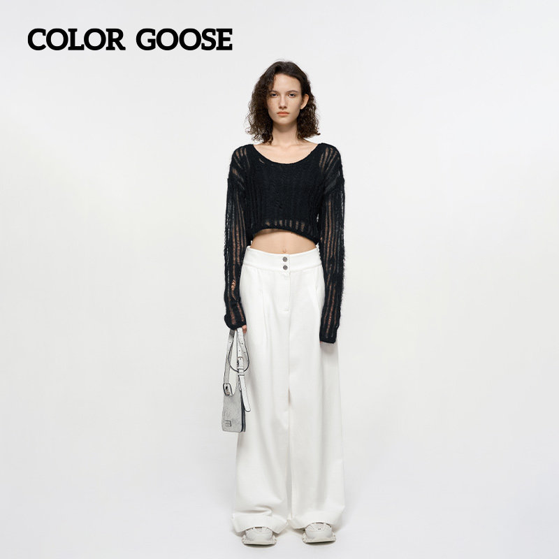 COLOR GOOSE彩鹅 春夏女士宽松镂空针织衫长袖外搭空调罩衫上衣
