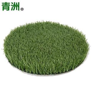 grass足球场人造草坪草皮免填充专业足球草人工假草室内球场