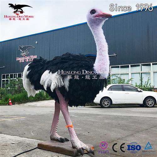 动物模型仿真皮毛动物制作仿真鸵鸟机械电动可发声动物园商场引流