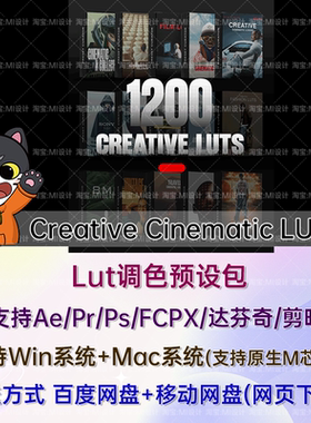 1200专业摄影后期创意调色LUT预设合集 Creative Cinematic LUTs