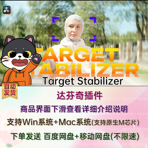 视频自动稳定跟踪人物目标移动插件达芬奇插件 Target Stabilizer