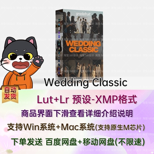 16款经典柔和优雅VLOG浪漫爱情婚礼摄影调色预设 Wedding Classic