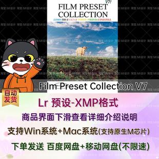 胶片怀旧颗粒纹理摄影调色Lr调色预设 Film Preset Collection V7
