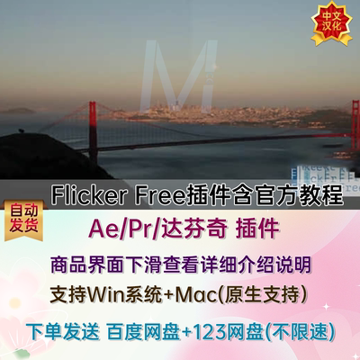 视频延时闪屏去闪烁AE/PR/FCPX/达芬奇插件Flicker Free 3.0.0