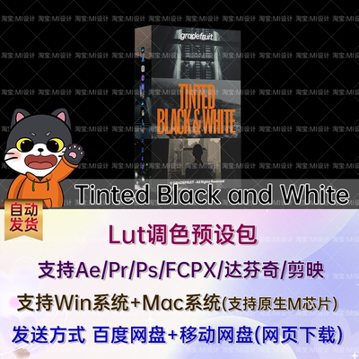 16组经典黑白影像质感LUTs调色预设 Tinted Black and White