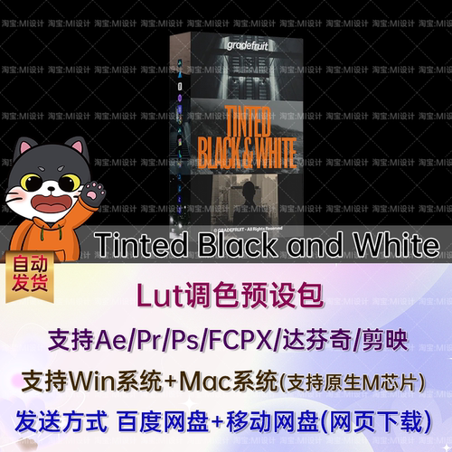 16组经典黑白影像质感LUTs调色预设 Tinted Black and White