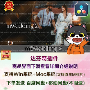 中文汉化达芬奇婚礼视频文字标题字幕叠加转场预设 mWedding 2