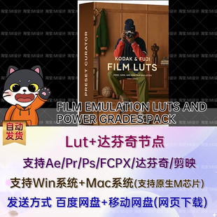 柯达富士胶片lut FILM EMULATION LUTS AND POWER GRADES PACK