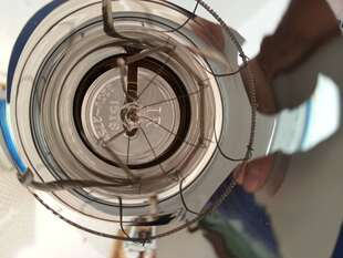 极速245W取暖灯 220v IR浴霸取暖灯FDP浴霸灯泡 楚chu 配.件  原