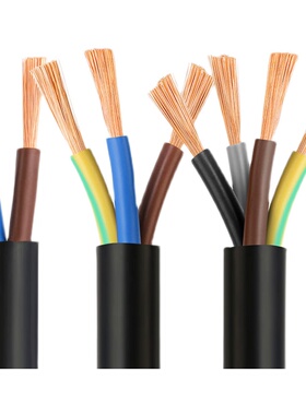 极速电线RVeV2芯3芯1.5/2.5/4/6/10平方护套线防水防冻国标纯铜芯