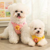 新品 小狗狗牵引绳胸背带宠物幼犬拴狗绳比熊博美狗链子Z小型犬遛