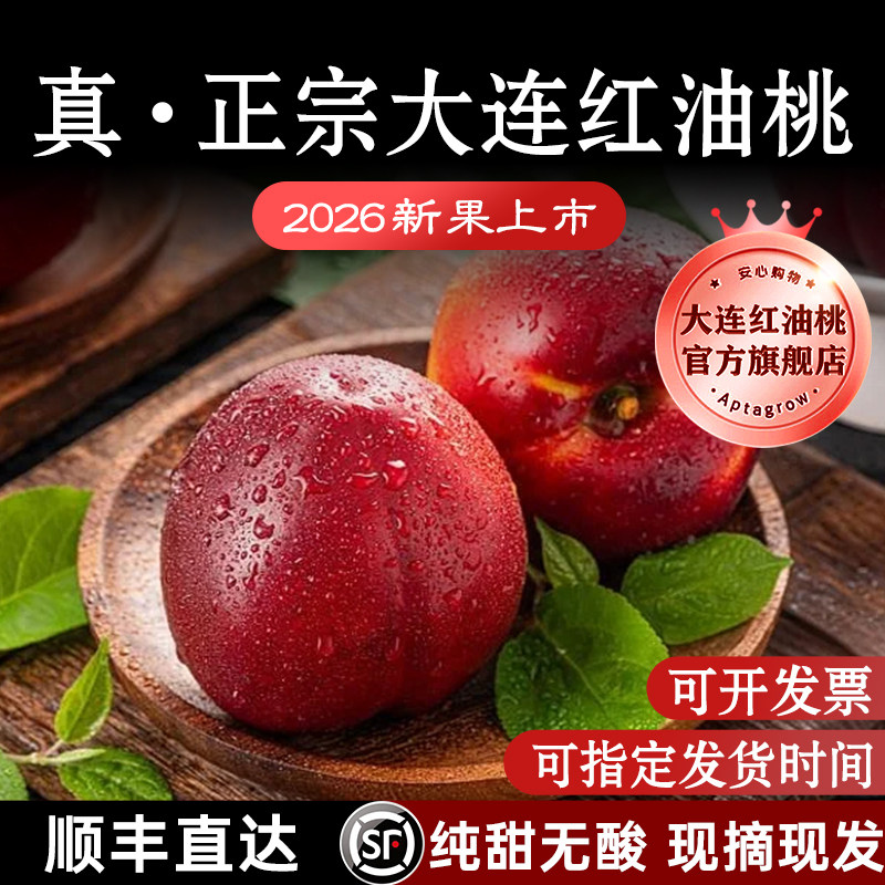 正宗】大连红油桃官方旗舰店脆甜红皮黄肉油桃当季新鲜水现摘顺丰