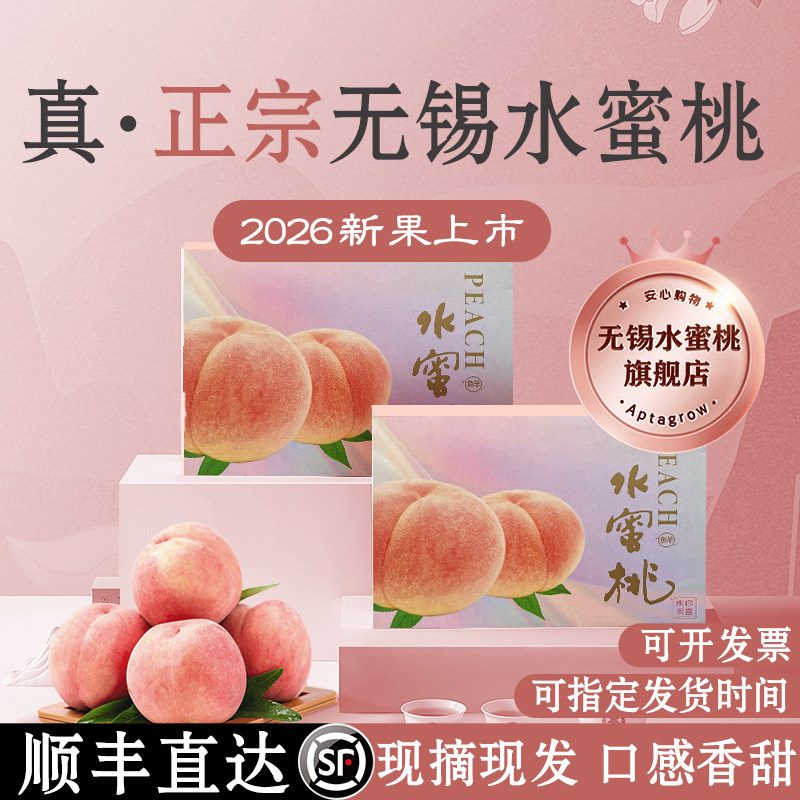 正宗】无锡水蜜桃旗舰店无锡湖景白凤桃子甜新鲜水果现摘现发官方