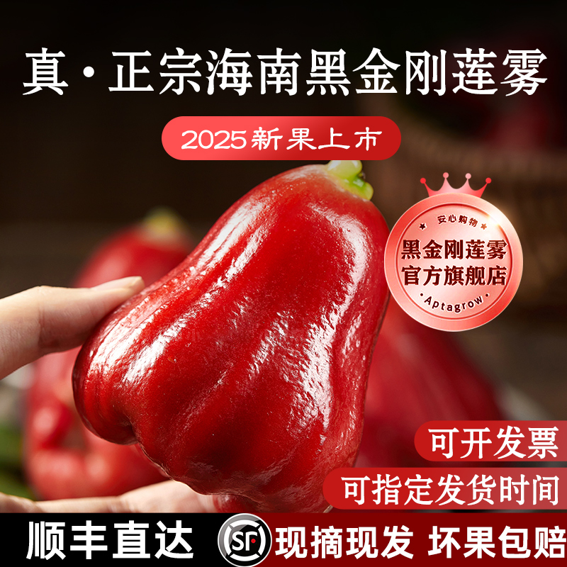 正宗海南黑金刚莲雾丨现摘现发