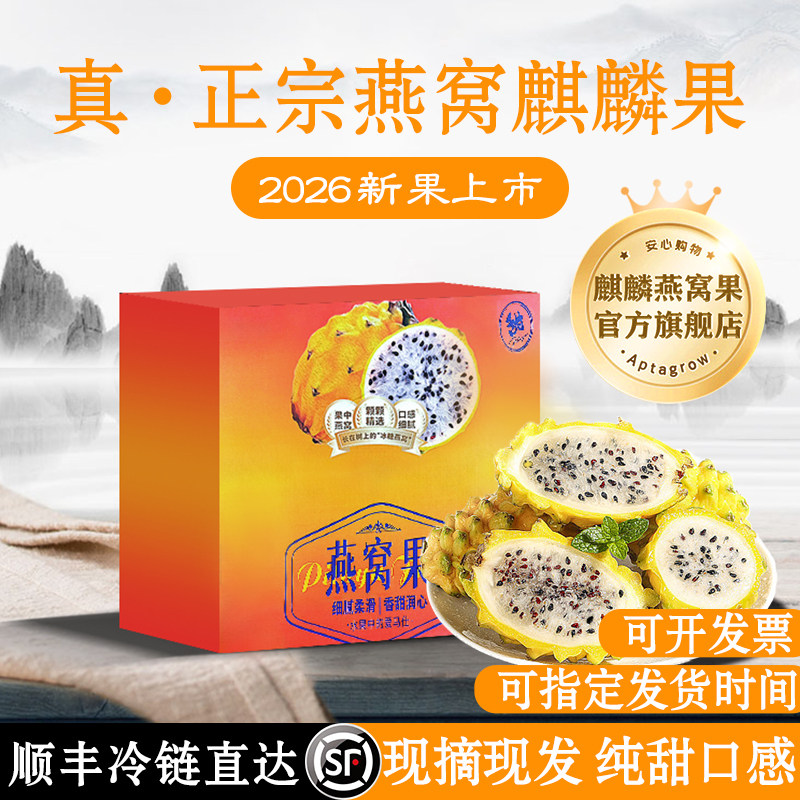 纯甜】麒麟燕窝果官方旗舰店火龙果白心黄皮云南顺丰礼盒孕妇现摘