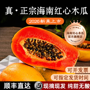 正宗】海南红心木瓜官方旗舰店新鲜树上熟当季水果当季顺丰礼盒