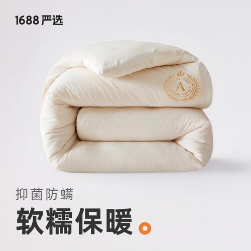 Soybean fiber quilt winter quilts with core thickened warm q