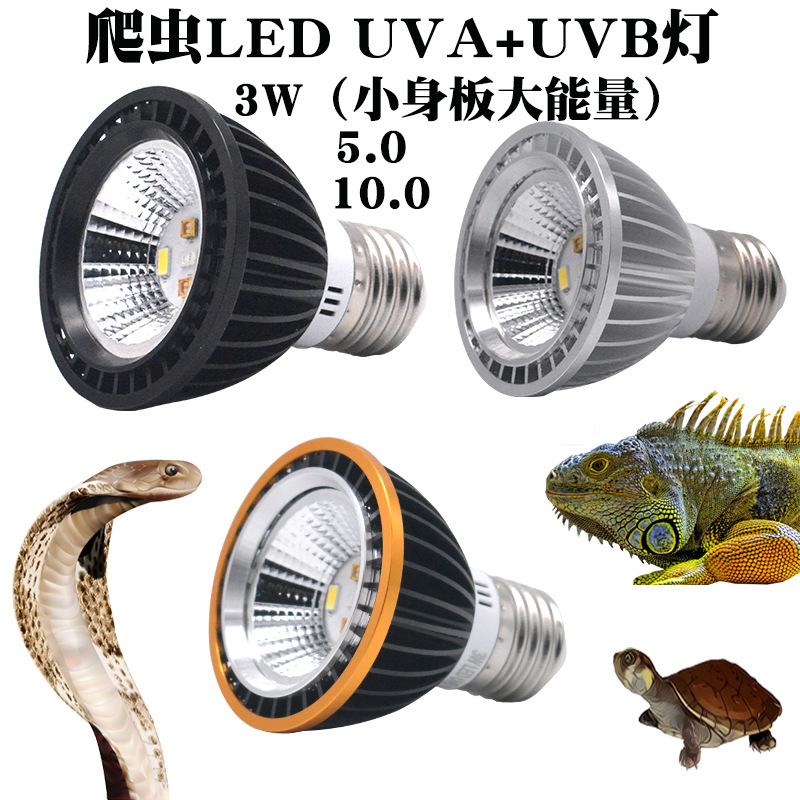 爬宠箱鬃蜥蜴uvb+uva乌龟晒背灯全光谱灯龟缸补钙太阳灯LED3W