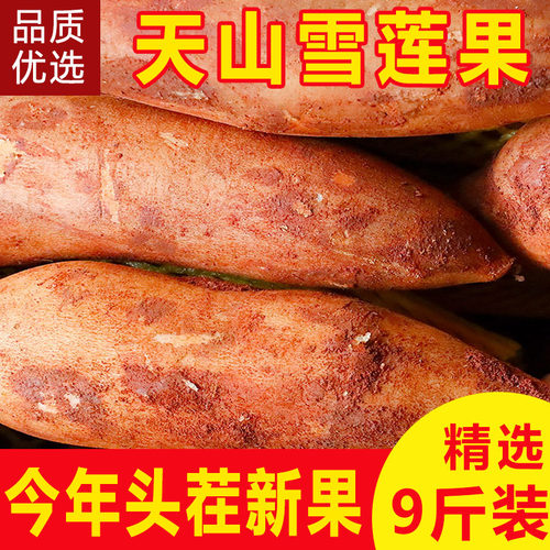 现挖云南天山雪莲果新鲜9斤水果应当季整箱顺包邮红心大果