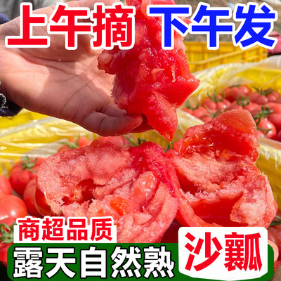 攀枝花罗旺斯沙瓤西红柿新鲜自然熟生吃铁皮草莓番茄5斤整箱