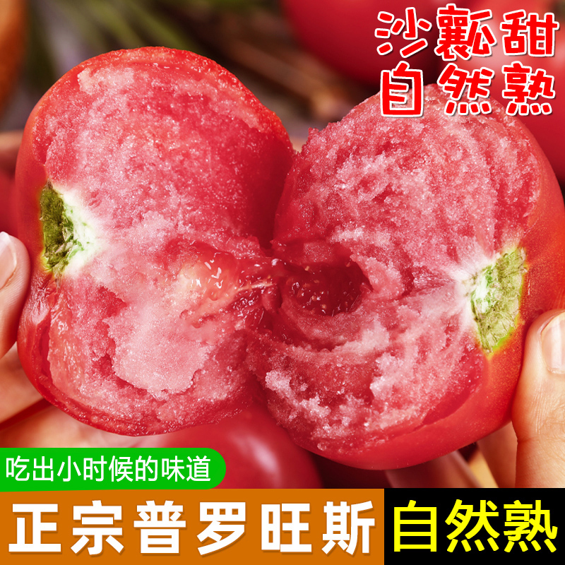 正宗供商超品质沙瓤西红柿5斤装普罗旺斯自然熟柿子蔬菜水果番茄