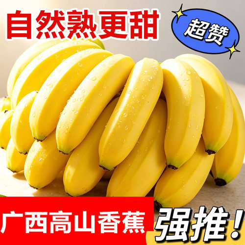 高山甜香蕉10斤新鲜水果当季现摘大芭蕉小米蕉甜香蕉整箱自然熟10