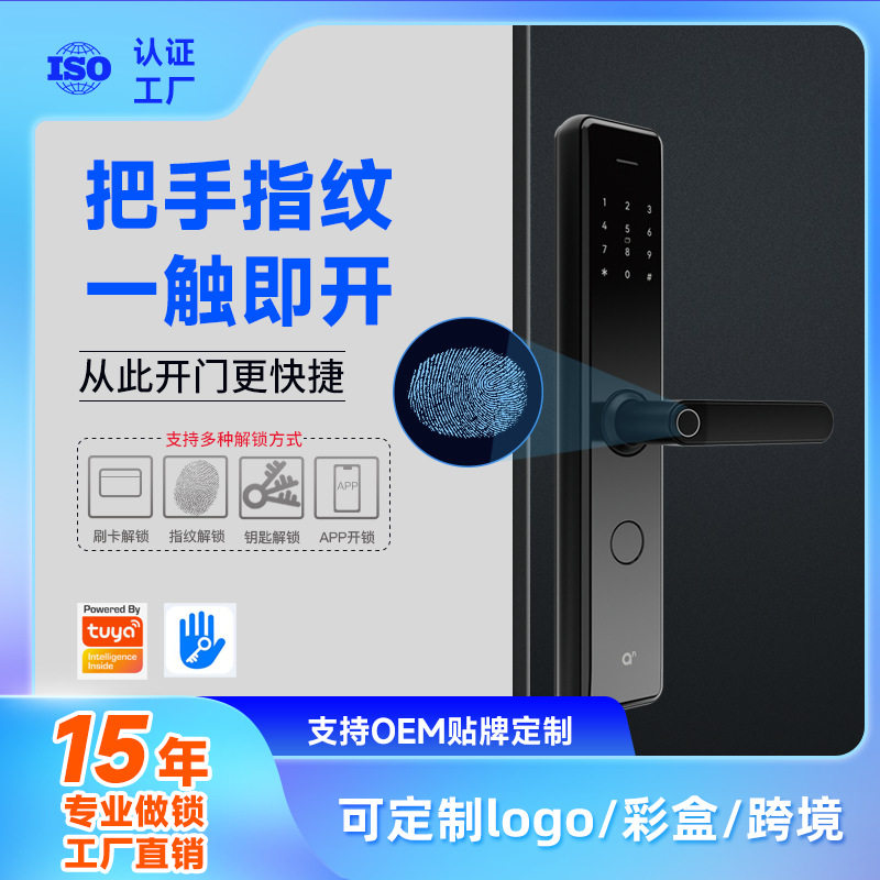 现代公寓室内密码指纹智能门锁