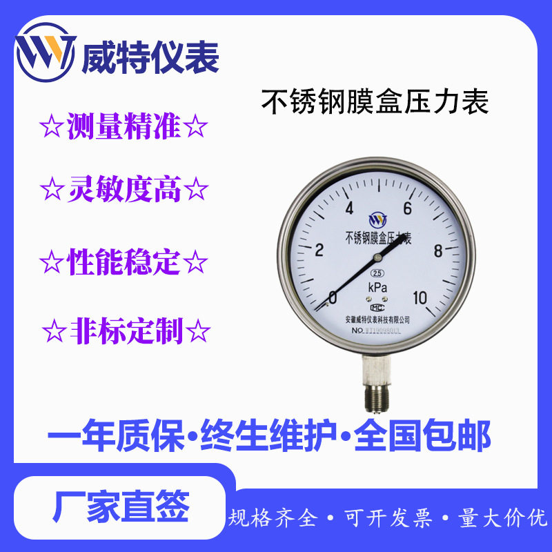 威特不锈钢膜盒压力表Y-60径向轴向螺纹气压液压管道压力测量微压
