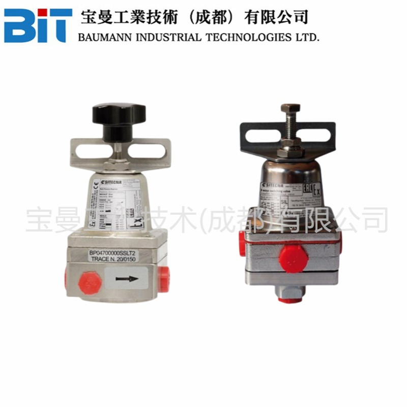 Sitecna工业不锈钢2通切换阀SV04300000SSFK2带安装支架0-8bar