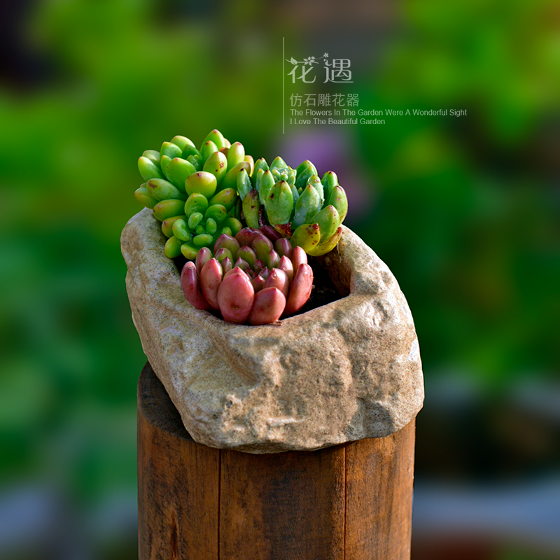 简约复古仿石多肉花盆怀旧摆件田园厚实有孔室内球松景观桌面花器