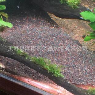 沙厂供造景沙鼠鱼沙七彩热带 487雨林 应埃及鱼缸雷龙家底砂化妆