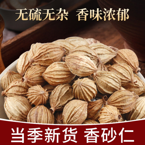 正宗四川香砂仁炖肉卤菜调味料
