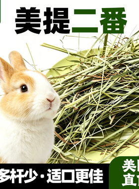 二番美提进口提摩西草兔子干草料龙猫豚鼠兔兔专用主食草叶多杆少