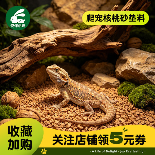 爬宠核桃砂垫料除臭透气造景垫材