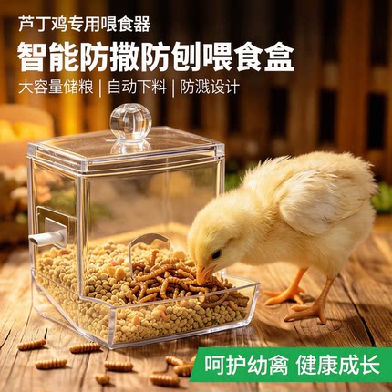 芦丁鸡喂食器小鸡鹌鹑自动下料防刨防撒饲料食盒大容量饮水器防溅