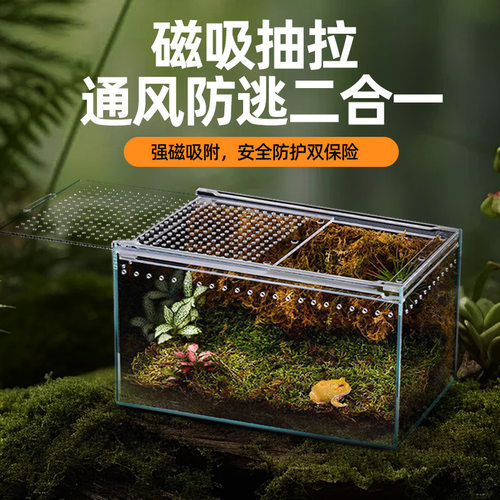 透明亚克力爬宠饲养箱造景生态缸